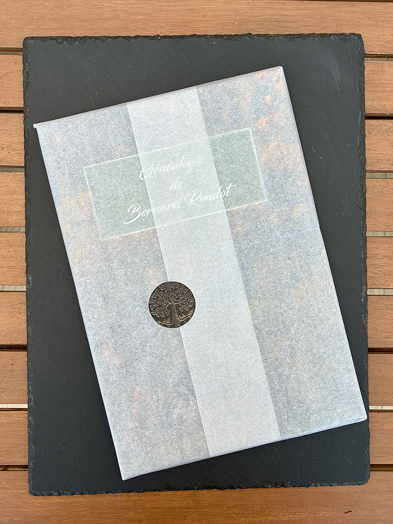 Livre cadeau emballé dans du papier de soie